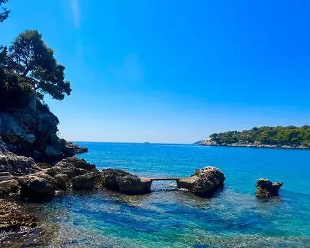 Apartmán Rose Apartment - Sea View - No 4 Zaton (Dubrovnik-Neretva)
